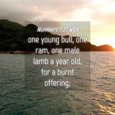Picture 04 - Numbers 7:27 WEB - one young bull, one ram, one male lamb a year - Bible Verse Picture