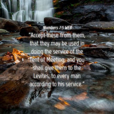 Picture 04 - Numbers 7:5 WEB - 