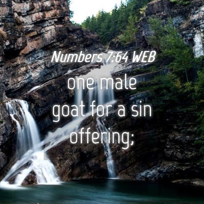 Picture 04 - Numbers 7:64 WEB - one male goat for a sin - Bible Verse Picture