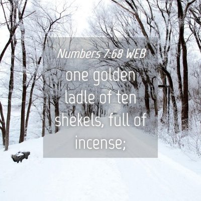 Picture 04 - Numbers 7:68 WEB - one golden ladle of ten shekels, full of - Bible Verse Picture