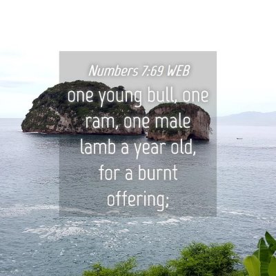 Picture 04 - Numbers 7:69 WEB - one young bull, one ram, one male lamb a year - Bible Verse Picture