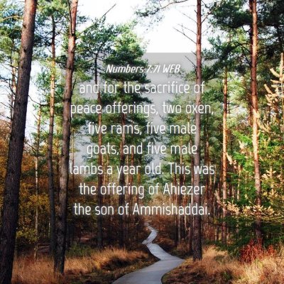 Picture 04 - Numbers 7:71 WEB - and for the sacrifice of peace offerings, two - Bible Verse Picture