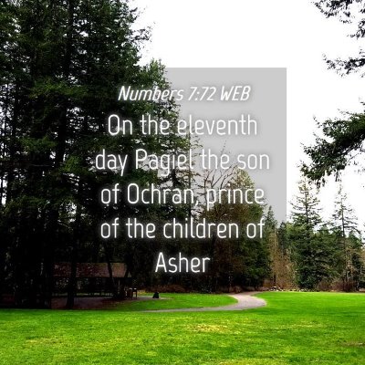 Picture 04 - Numbers 7:72 WEB - On the eleventh day Pagiel the son of Ochran, - Bible Verse Picture