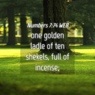 Picture 04 - Numbers 7:74 WEB - one golden ladle of ten shekels, full of - Bible Verse Picture