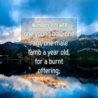 Picture 04 - Numbers 7:75 WEB - one young bull, one ram, one male lamb a year - Bible Verse Picture