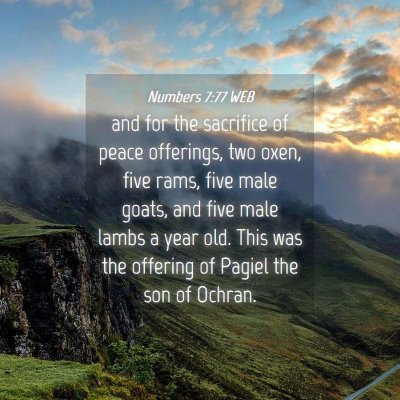 Picture 04 - Numbers 7:77 WEB - and for the sacrifice of peace offerings, two - Bible Verse Picture