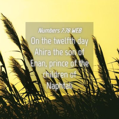 Picture 04 - Numbers 7:78 WEB - On the twelfth day Ahira the son of Enan, prince - Bible Verse Picture