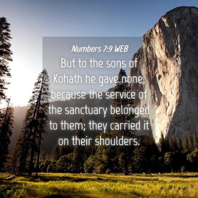 Picture 04 - Numbers 7:9 WEB - But to the sons of Kohath he gave none, because - Bible Verse Picture