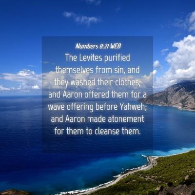 Picture 04 - Numbers 8:21 WEB - The Levites purified themselves from sin, and - Bible Verse Picture