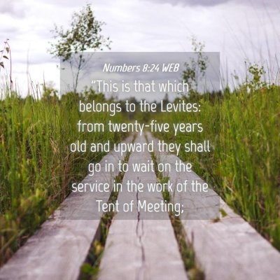 Picture 04 - Numbers 8:24 WEB - 