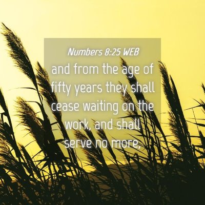 Picture 04 - Numbers 8:25 WEB - and from the age of fifty years they shall cease - Bible Verse Picture