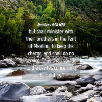 Picture 04 - Numbers 8:26 WEB - but shall minister with their brothers in the - Bible Verse Picture
