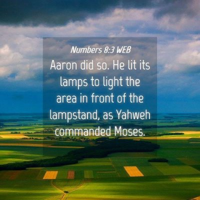 Picture 04 - Numbers 8:3 WEB - Aaron did so. He lit its lamps to light the area - Bible Verse Picture