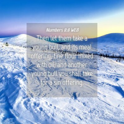 Picture 04 - Numbers 8:8 WEB - Then let them take a young bull, and its meal - Bible Verse Picture