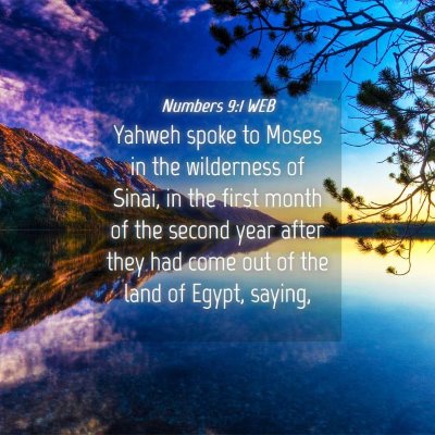Picture 04 - Numbers 9:1 WEB - Yahweh spoke to Moses in the wilderness of Sinai, - Bible Verse Picture