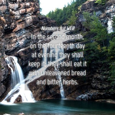 Picture 04 - Numbers 9:11 WEB - In the second month, on the fourteenth day at - Bible Verse Picture