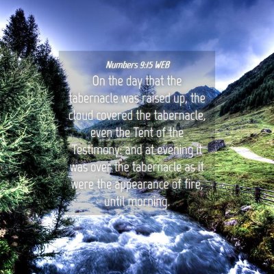 Picture 04 - Numbers 9:15 WEB - On the day that the tabernacle was raised up, the - Bible Verse Picture