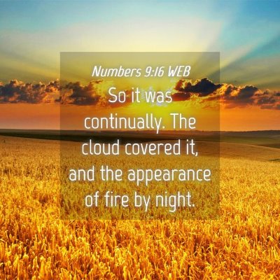 Picture 04 - Numbers 9:16 WEB - So it was continually. The cloud covered it, and - Bible Verse Picture