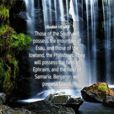 Picture 04 - Obadiah 1:19 WEB - Those of the South will possess the mountain of - Bible Verse Picture