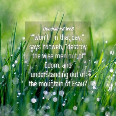 Picture 04 - Obadiah 1:8 WEB - 