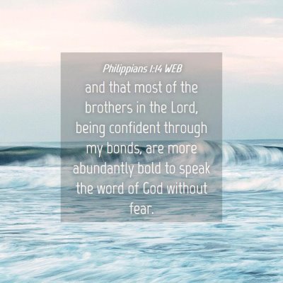 Picture 04 - Philippians 1:14 WEB - and that most of the brothers in the Lord, being - Bible Verse Picture