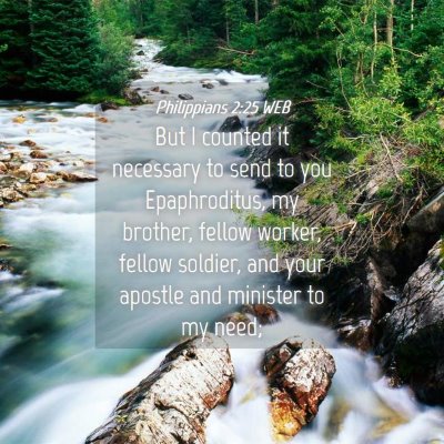 Picture 04 - Philippians 2:25 WEB - But I counted it necessary to send to you - Bible Verse Picture