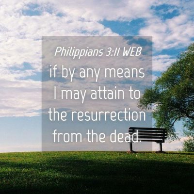 Picture 04 - Philippians 3:11 WEB - if by any means I may attain to the resurrection - Bible Verse Picture