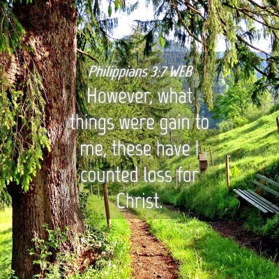Picture 04 - Philippians 3:7 WEB - However, what things were gain to me, these have - Bible Verse Picture