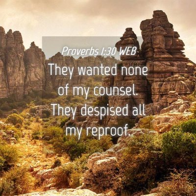 Picture 04 - Proverbs 1:30 WEB - They wanted none of my counsel. They despised all - Bible Verse Picture