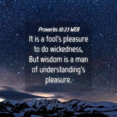 Picture 04 - Proverbs 10:23 WEB - It is a fool's pleasure to do wickedness, But - Bible Verse Picture