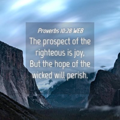 Picture 04 - Proverbs 10:28 WEB - The prospect of the righteous is joy, But the - Bible Verse Picture