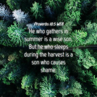 Picture 04 - Proverbs 10:5 WEB - He who gathers in summer is a wise son, But he - Bible Verse Picture