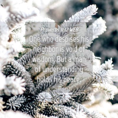Picture 04 - Proverbs 11:12 WEB - One who despises his neighbor is void of wisdom, - Bible Verse Picture