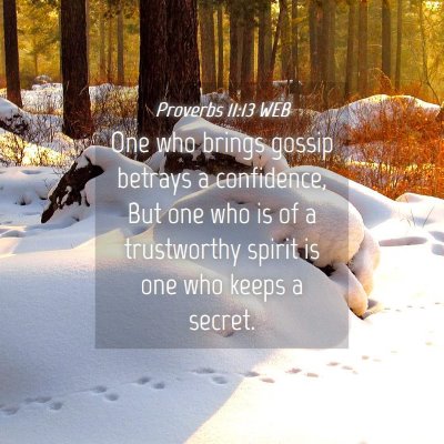 Picture 04 - Proverbs 11:13 WEB - One who brings gossip betrays a confidence, But - Bible Verse Picture