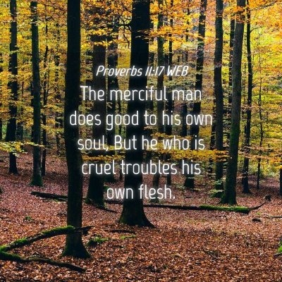Picture 04 - Proverbs 11:17 WEB - The merciful man does good to his own soul, But - Bible Verse Picture