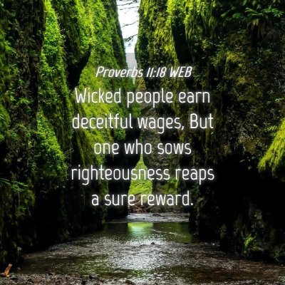 Picture 04 - Proverbs 11:18 WEB - Wicked people earn deceitful wages, But one who - Bible Verse Picture