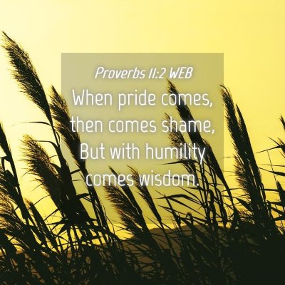 Picture 04 - Proverbs 11:2 WEB - When pride comes, then comes shame, But with - Bible Verse Picture