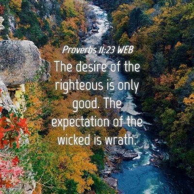 Picture 04 - Proverbs 11:23 WEB - The desire of the righteous is only good. The - Bible Verse Picture