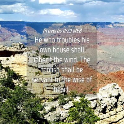 Picture 04 - Proverbs 11:29 WEB - He who troubles his own house shall inherit the - Bible Verse Picture