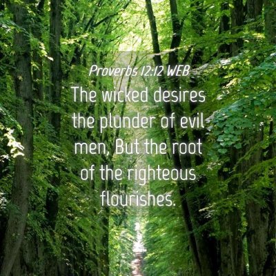 Picture 04 - Proverbs 12:12 WEB - The wicked desires the plunder of evil men, But - Bible Verse Picture