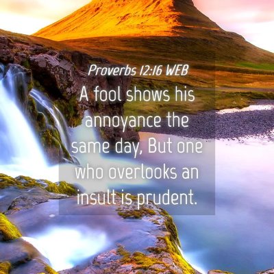 Picture 04 - Proverbs 12:16 WEB - A fool shows his annoyance the same day, But one - Bible Verse Picture