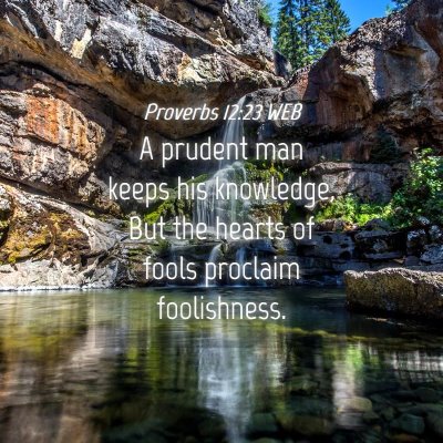Picture 04 - Proverbs 12:23 WEB - A prudent man keeps his knowledge, But the hearts - Bible Verse Picture