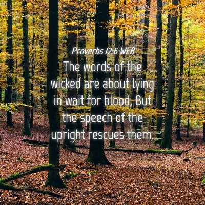 Picture 04 - Proverbs 12:6 WEB - The words of the wicked are about lying in wait - Bible Verse Picture