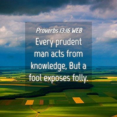 Picture 04 - Proverbs 13:16 WEB - Every prudent man acts from knowledge, But a fool - Bible Verse Picture