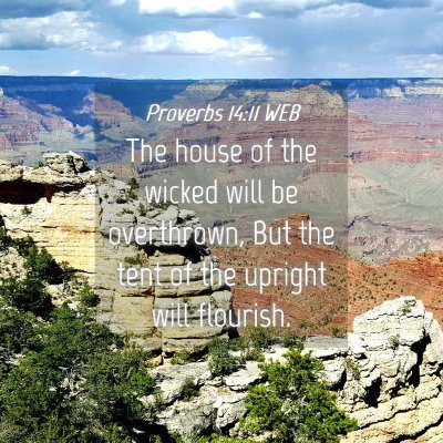 Picture 04 - Proverbs 14:11 WEB - The house of the wicked will be overthrown, But - Bible Verse Picture