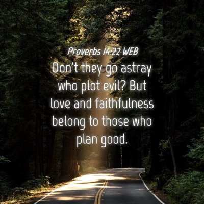 Picture 04 - Proverbs 14:22 WEB - Don't they go astray who plot evil? But love and - Bible Verse Picture
