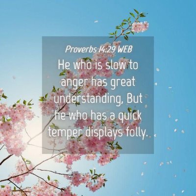 Picture 04 - Proverbs 14:29 WEB - He who is slow to anger has great understanding, - Bible Verse Picture