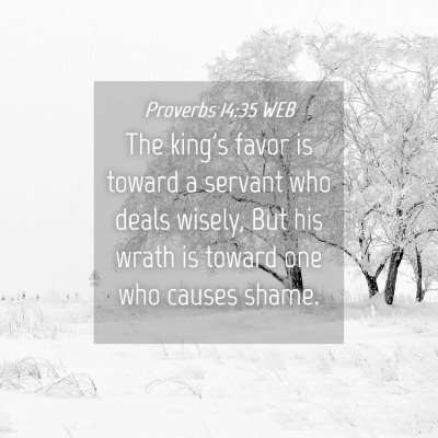 Picture 04 - Proverbs 14:35 WEB - The king's favor is toward a servant who deals - Bible Verse Picture