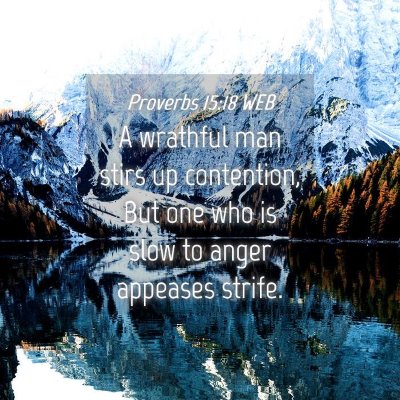 Picture 04 - Proverbs 15:18 WEB - A wrathful man stirs up contention, But one who - Bible Verse Picture