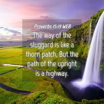 Picture 04 - Proverbs 15:19 WEB - The way of the sluggard is like a thorn patch, - Bible Verse Picture